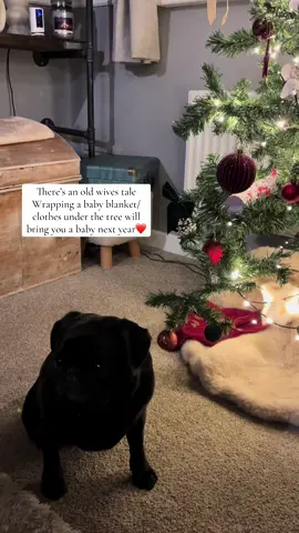 Till we meet you earth side our rainbow baby… trying out the old wives tale 🤞 #ivf #ivfjourney #mrkh #infertility 