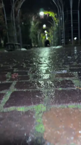 #مسلم #شيخ #محمود #الحسنات #🌿 