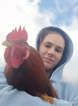 #рекомендации 