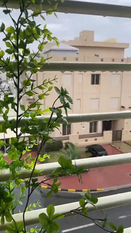 #سوريا_تركيا_العراق_السعودية_الكويت #