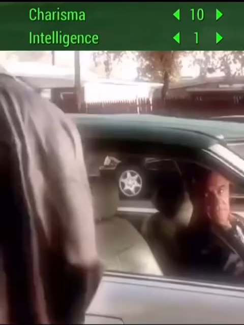 my fallout build #falloutmemes #sopranomemes #memestiktok