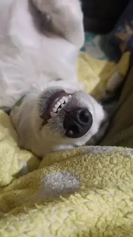 #сгенерированнонейросетью #recomendations #приколи 