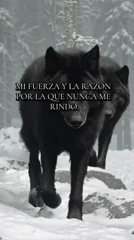 Un padre no se reemplaza. Si el tuyo te marcó el camino, deja tu 🐺 y comparte este mensaje. . . . . . #LegadoDePadre #LoboNegro #TeamBlack #MotivacionOscura #FYP