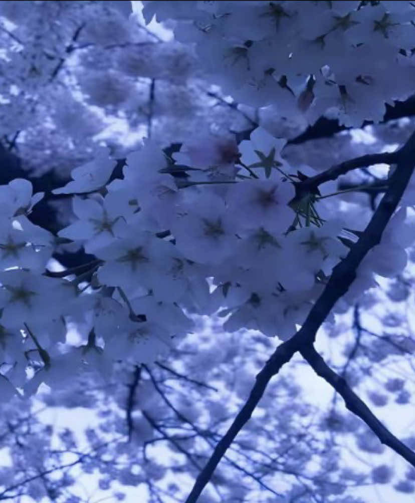 #maidan2014🇺🇦#lucashenkoidinaxyi @@💎💨@@monksxxx