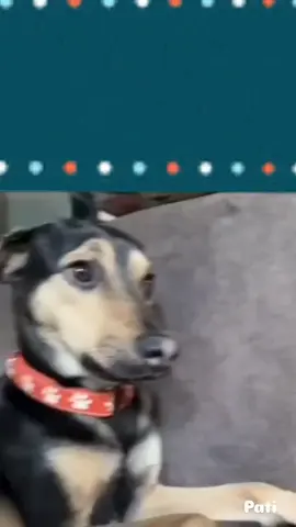 #vendedor #vendedora #atendente #funcionario #humor