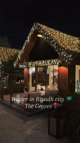 Riyadh | Saudi Arabia 🇸🇦  The Groves 📍 #winter #riyadh #saudiarabia #snow #fyp 