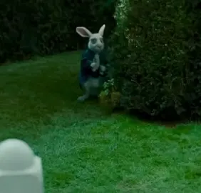 Белый Кролик с часами — один из самых известных персонажей сказки «Алиса в Стране чудес» Льюиса Кэрролла (1865). Он выполняет несколько ключевых функций в истории и имеет яркую символику.  #кролик #белыйкроликсчасами #рекомендации #fypシ゚viral🖤tiktok #fyp 