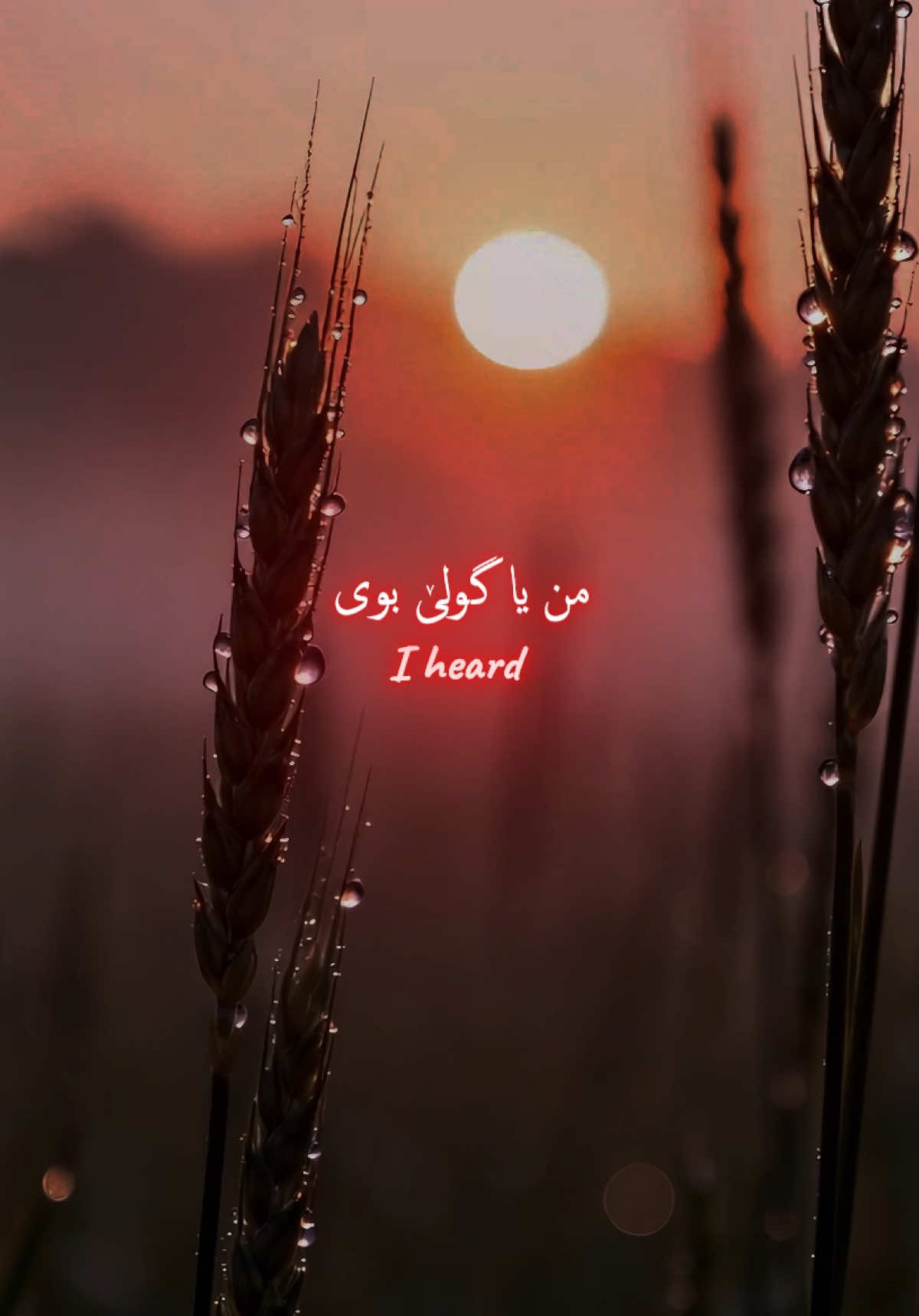 Someone Like You by Adele2 #fyp #foryou #music #adele 