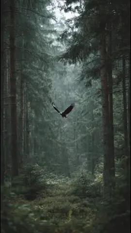 se gostou compartilhar e curtir para mais vídeos 😃😃😃😃☺️😃☺️