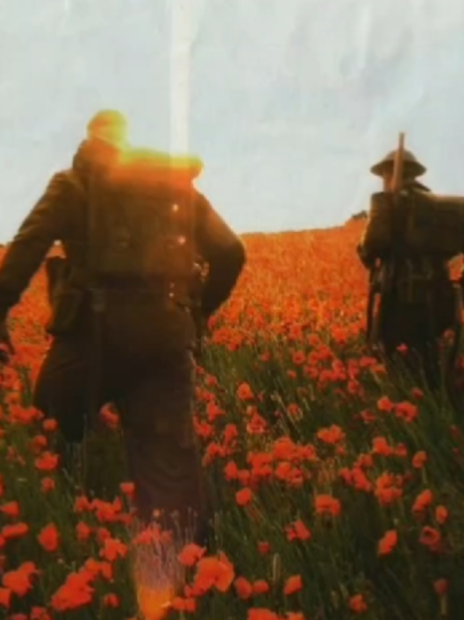 #films #davidfincher #davidlynch #MartinScorsese #cinema 