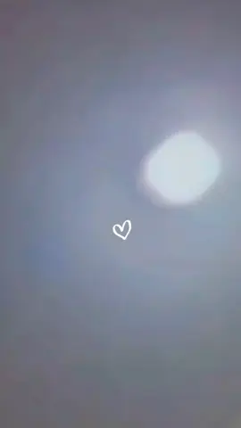 #نعيم##الشيخ#❤️🤎🧉🧉 اركيله#العشق 