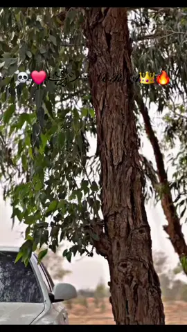 نموت عليك يا الغالية❤️ عشاق لاكسنت أيا كامل تبانو هنا تهلاو❤️🥰 #viraltiktok #الشعب_الصيني_ماله_حل😂😂 #فرنا 