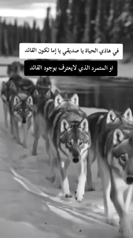 #fyp #F #f #شعب_الصيني_ماله_حل😂😂 #ابوني_ياك_باطل_ولا_حنا_مانستاهلوش 
