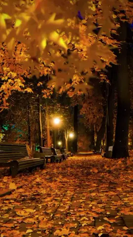 🌹Şüphesiz ki Allah, sabredenlerle beraberdir.🌹 BAKARA SÛRESİ 153#Kurân #Ayet #Hadis #Dua 