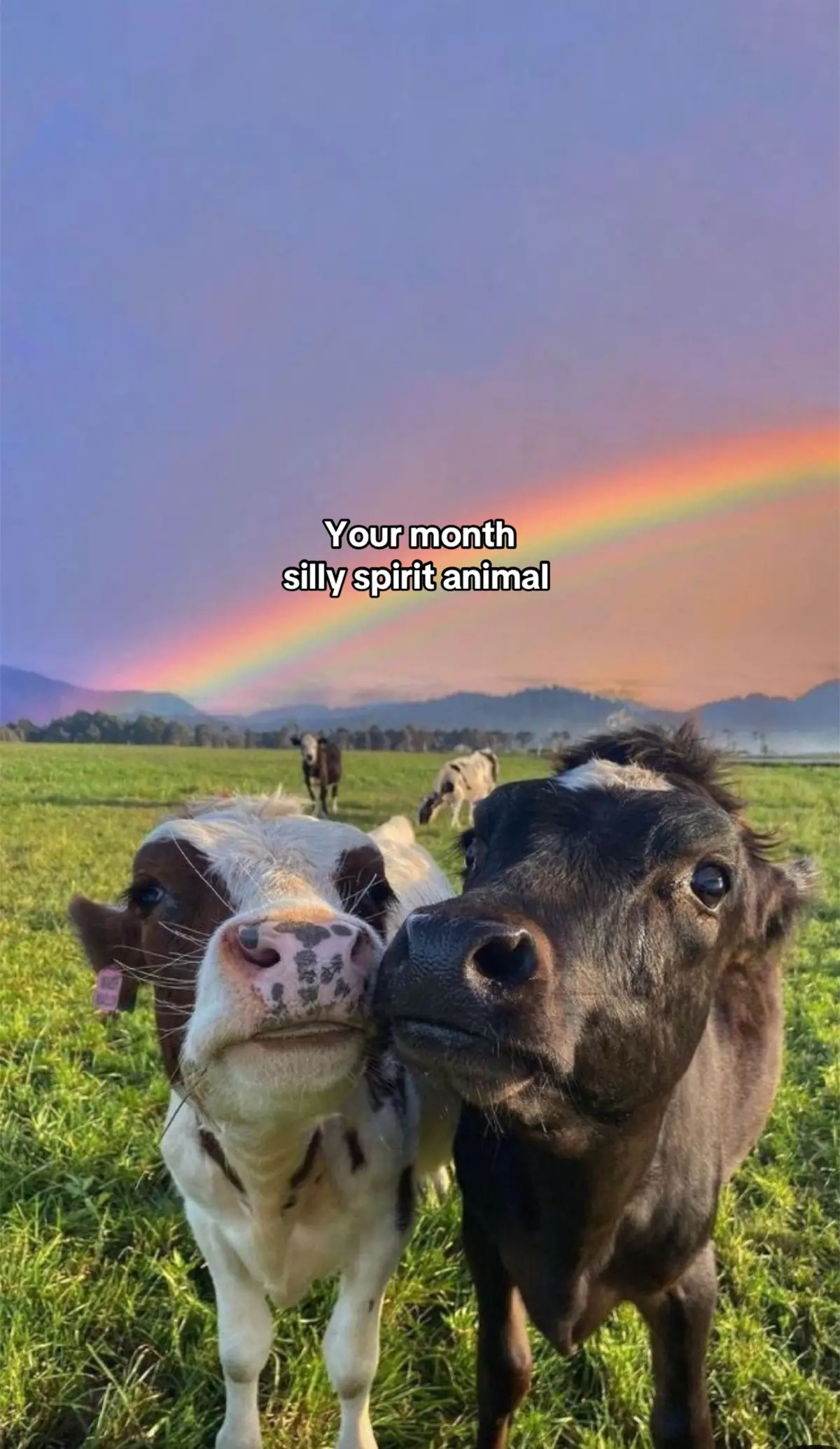 #foryoupage❤️❤️ #months #fyp #forypupage #animallover 