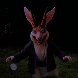 All roads lead to Rome #allroadsleadtorome#trends#vrial#fyp#rabbits 