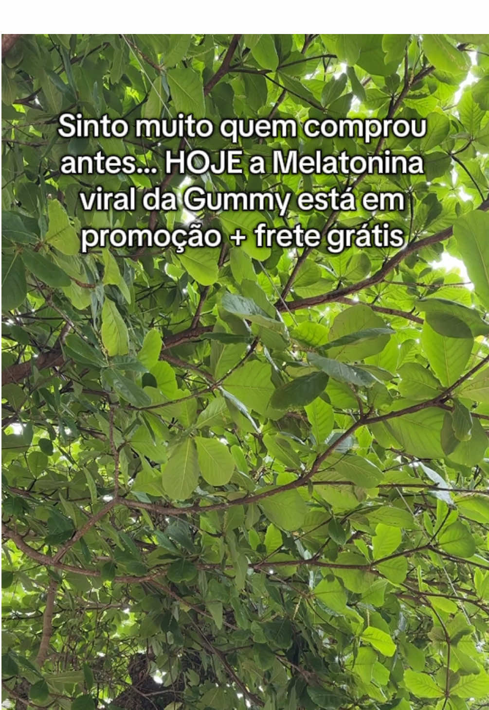 Promoção de Black Friday da @Gummy Original! Aproveita enquanto tem estoque! 🚨 #gummy #gummynight #melatonina #dormirbem #blackfriday 