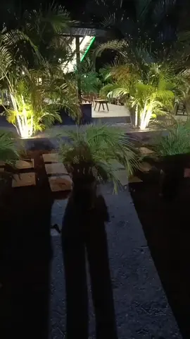 cuántos cómo Tae Hwa ...?#escaleraalcielo #fypシ゚ #contenido 