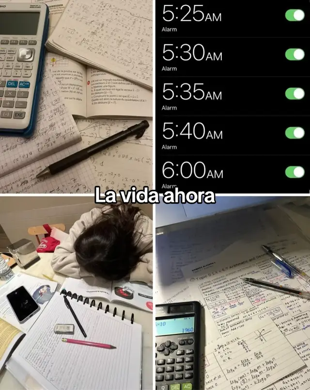 #verano #vacaciones #xybca #fyp #verano2025🏖 