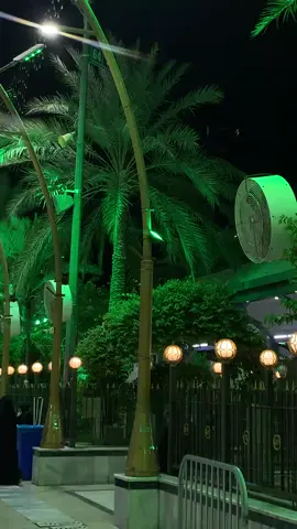 #كربلاء #الامام_علي_بن_أبي_طالب_؏💙🔥 #الامام_الحسين_عليه_السلام #الامام_الحسن_عليه_السلام #العباس_عليه_السلام 