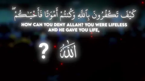 Surah Al-Baqara 28-29 #quranvideo #quran_alkarim #quranrecitation #recitation #fyp 