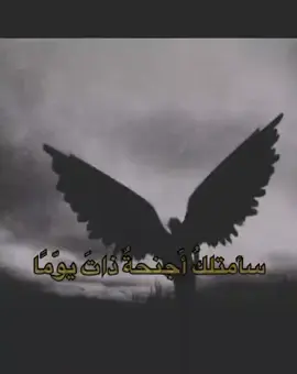 سأمتلك أجنحة ذاتَ يوم، أجنحة خُلِقت من صبري، وشُحِنت بكلِّ وجع مررتُ به، أجنحة لا تنكسر مهما اشتدَّ الريح، ولا تضعف مهما طال الطريق. سيأتي يوم أرتفع فيه فوق كل سقوطٍ عشته، فوق خيباتٍ كانت تُثقِل صدري، فوق أشخاص ظنّوا أني لن أنهض أبداً. سأطير… لا هروباً، بل انتصاراً، وسأحملني إلى مكانٍ لا تصل إليه أيدي الماضي، ولا أصوات الشك. ولعلَّ هذا اليوم لم يأتِ بعد، لكني أعلم أن أجنحتي تنمو في الخفاء، تكبر بصمت، وتتهيّأ للحظة التي أُحلّق فيها دون أن يقدر أحدٌ على إعادتي إلى الأرض #fyp 