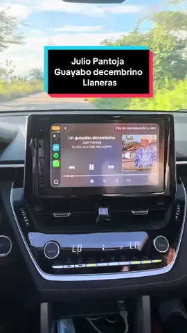 Julio Pantoja - Llaneras - Guayabo decembrino #juliopantoja #musicallanera #musicallaneraapure #llaneras #guayabodecembrino 