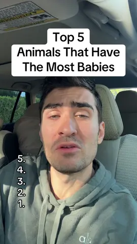 Follow! Like! Share! @Samantha Wynn Greenstone 