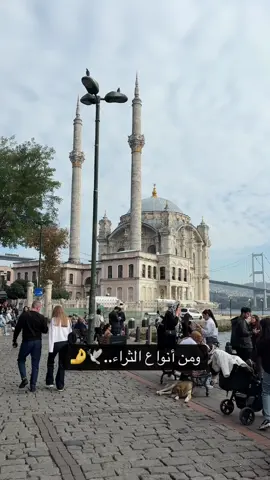 #fyp #viral_video #تيك_توك_عرب #istanbul🇹🇷 