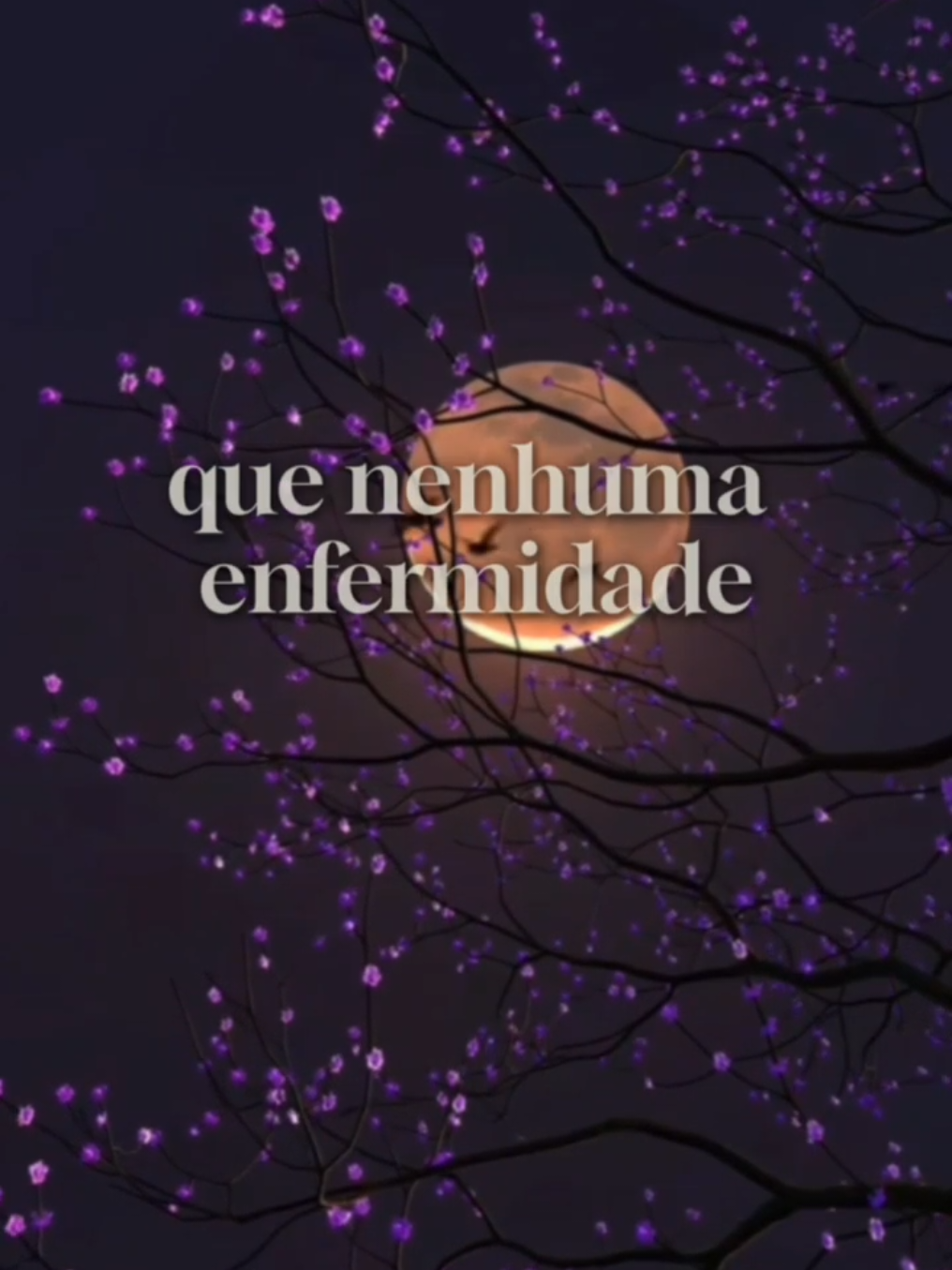 Deus abençoe minha família 🙏❤️  #oração #deus #reflexão #mensagemdefé #boanoite 