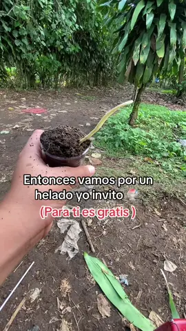 #a tu te lo regalo 💝 