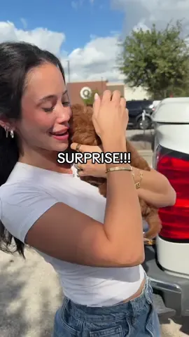 I had NO idea😭 such an insane surprise!!!🥹🥹🥹 