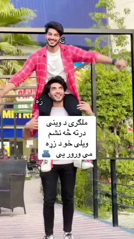 ډالۍ که ورته 🫂💔🥺👋😭😭🫵🏽🎀🎀💋#foryou #foreverglobaless #plz #tiktok #friz 