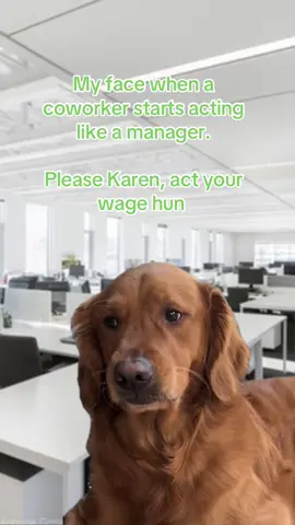 #Meme #memestiktok #corporatehumour #workhumour #MemeCut 