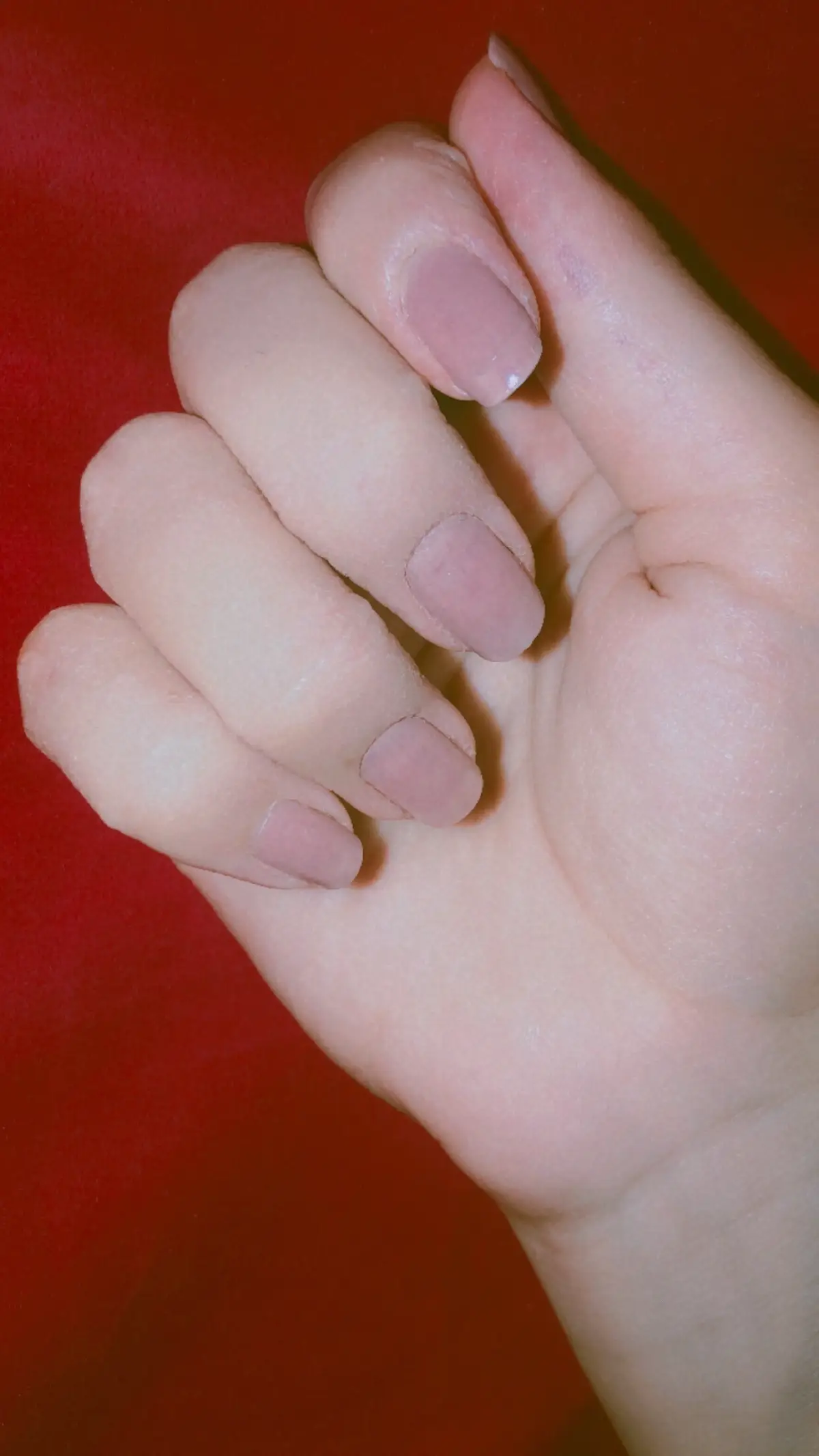 #🌼🌼 #hawler_slemani_dhok_karkuk_hallabja 