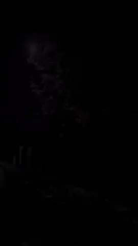 #creatorsearchinsights #views #trend #goviral #onthisday 