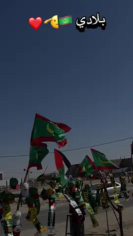 #موريتانيا🇲🇷 #mouritanie🇲🇷💚💛 #le28novembre🇲🇷 #عيد_استقلال_موريتانيا🇲🇷 #حفظه_الله_بلادنا🇲🇷🤲🏽 