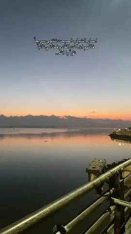 #viraltiktok #fypシ #viral 