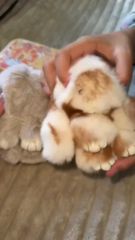 Bunnylulus!!! 😍😍 way better than those creepy la fu fus #bunnylulu #cutegifts #cutegiftideas #tiktokshopcreatorpicks  