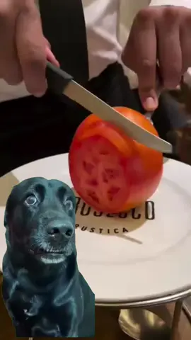 #مالي_خلق_احط_هاشتاقات #الشعب_الصيني_ماله_حل😂😂 #امهات_تيك_توك #اكسبلور 