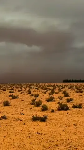 #تطاوين🧡💛📍_جرجيس_بنڨردان_🧿جربة_🥇مدنين 