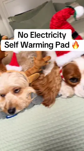 These BedSure Self-Warming Pet Pads are finally back in stock after being sold out for weeks! ❄️🔥 Pet parents have been grabbing them like crazy because the Mylar thermal layer reflects your dog’s body heat for instant, natural warmth. Perfect for chilly pups, senior dogs, and anyone trying to keep their fur babies cozy this winter 🐶❤️  #BedSurePets #SelfWarmingPetPad #BackInStock #DogParents #TikTokShopBlackFriday 