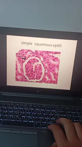 يمرارييييي  #medicine #mnu #458 