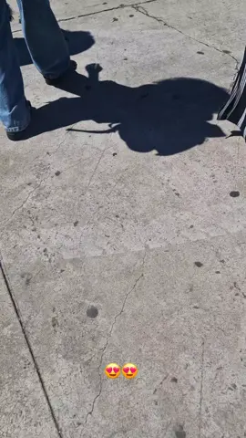 dia 19 vai ficar pra história 😍 #mineirão #aulaoia #belohorizonte #fypシ 