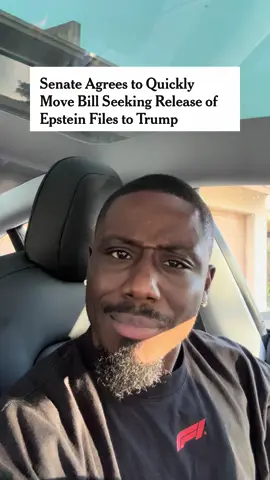 Finally, The Files by Premi Sterlin