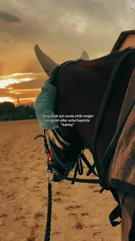 #storylikvideolar📌 #keşfet #kırpapatyası #fypシ゚viral🖤tiktok 