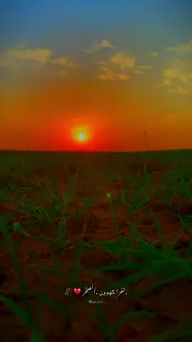 لفراكهم ون الصخر 🥀💔 #بادوش  #تصويري_احترافي_الاجواء👌🏻🕊😴  #لايك_متابعه_اكسبلور 