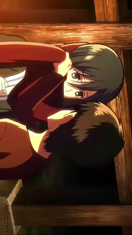 شال ميكاسا الأحمر ...