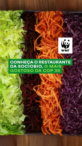 No Restaurante da SocioBio, gerido pelo Consórcio da SocioBio (Central do Cerrado + Rede Bragantina ), a promessa de alimentação saudável, sustentável e solidária na #COP30 vira realidade no prato. Pirarucu, pequi, açaí, cordeiro do sertão, docinho de umbu são algumas das variedades oferecidas para quem passa pelo restaurante, e o melhor tudo isso por R$ 40. Cada refeição ainda fortalece milhares de famílias agricultoras e comunidades tradicionais de todos os biomas do Brasil. O Consórcio da Sociobio foi apoiado por diversas organizações, entre elas o WWF-Brasil #COP30 #RestauranteDaSociobio #Sociobio #ComidaDeVerdade #AgriculturaFamiliar #Belém #Sustentabilidade #AlimentaçãoSaudável