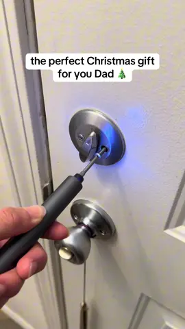 Great gift and the Fanttik Electric Screwdriver is on a huge sale right now #christmasgift #electricscrewdriver #giftforhimc#giftfordad #tiktokshopblackfriday 